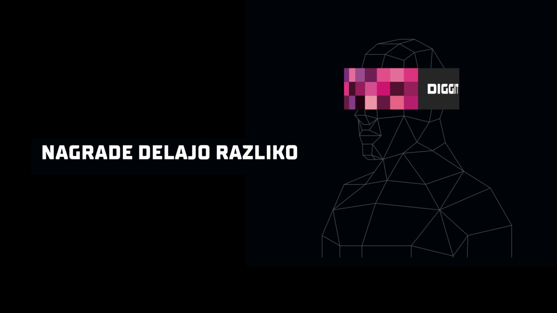 diggit nagrade