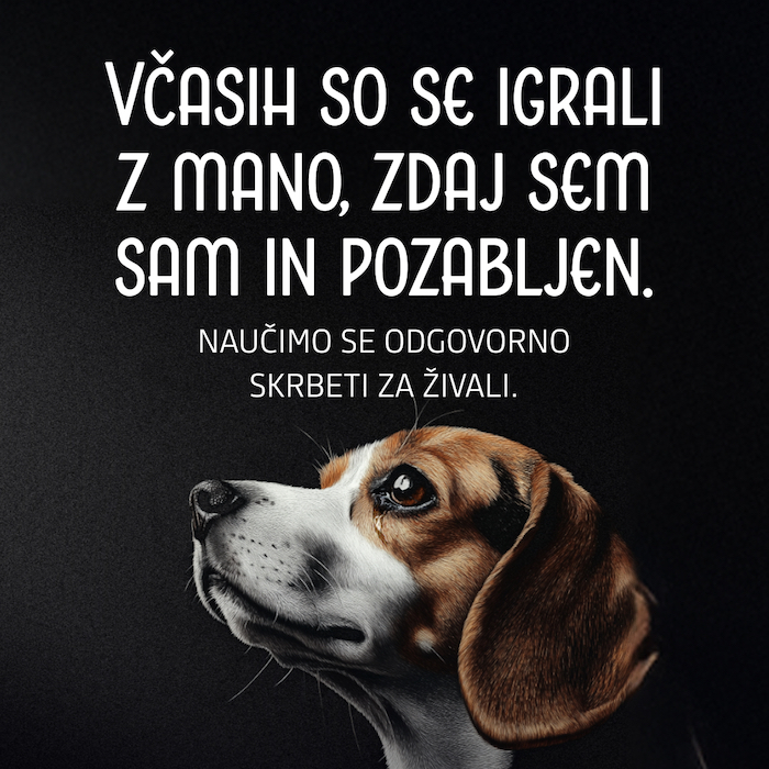 moja odgovornost5