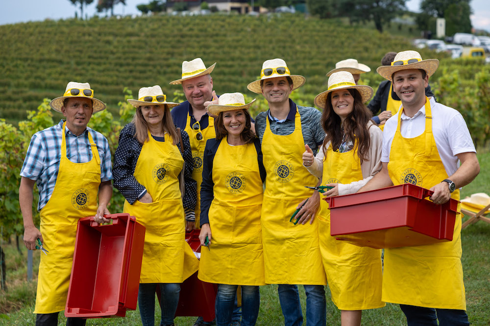 Puklavec Family Wines