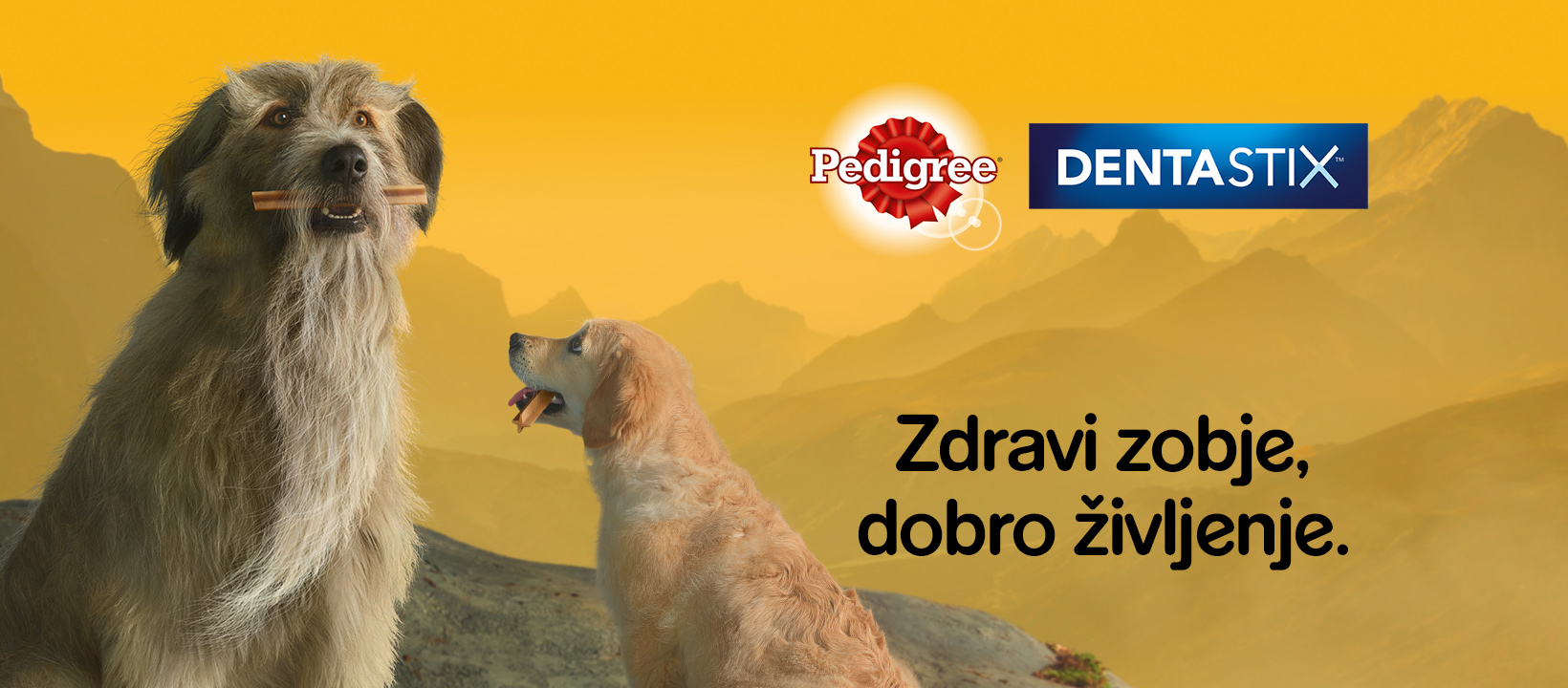 pedigree2