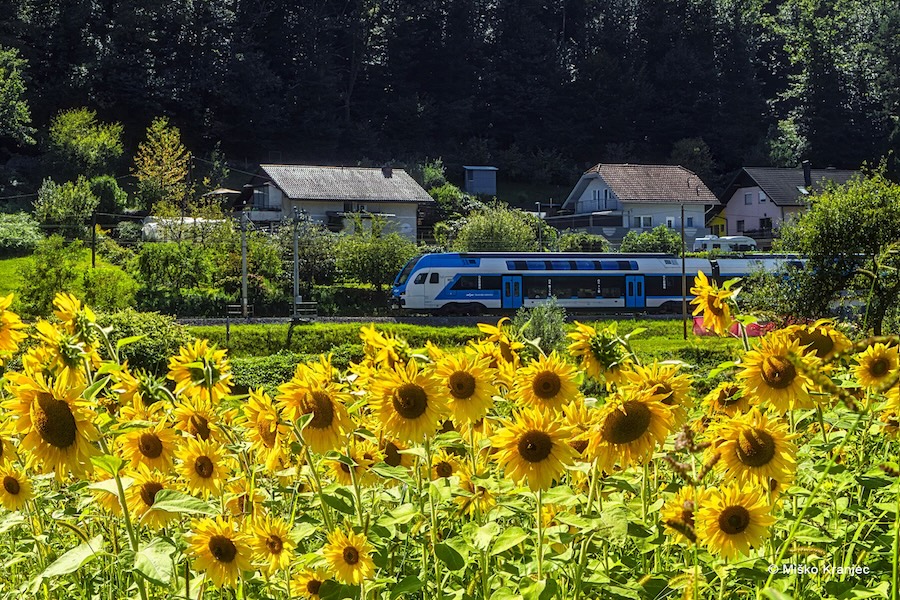 Slovenske železnice