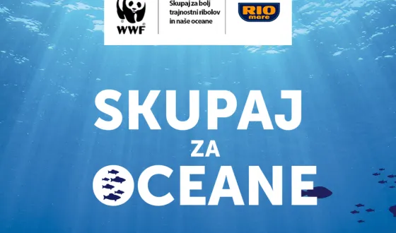 Rio Mare s partnerji 