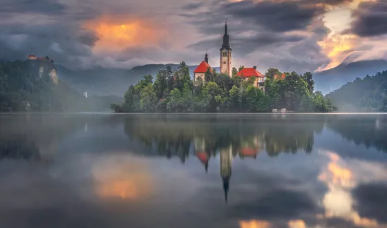 bled