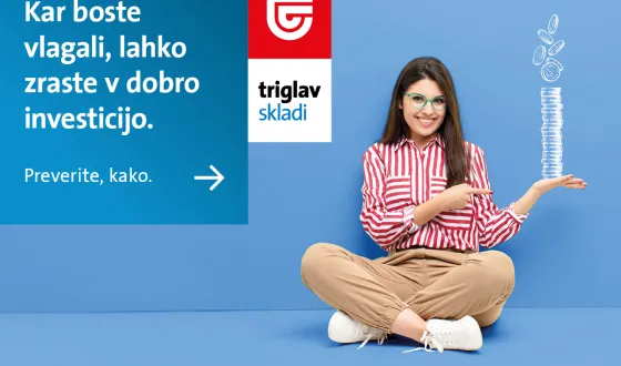 Triglav skladi