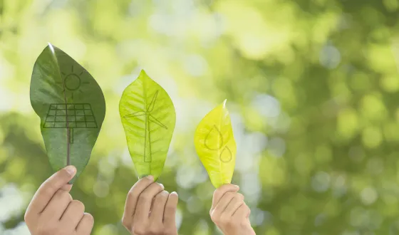 mediana rising future