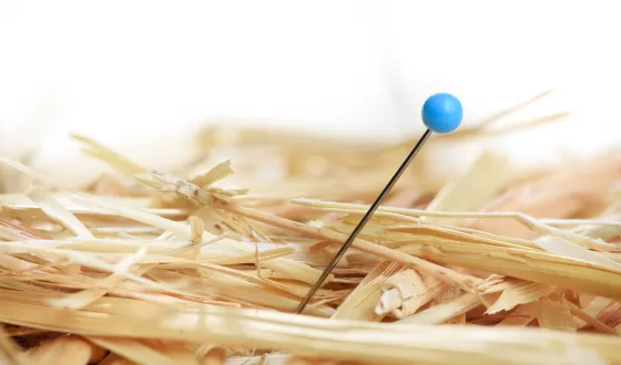 raziskovalni marketing 