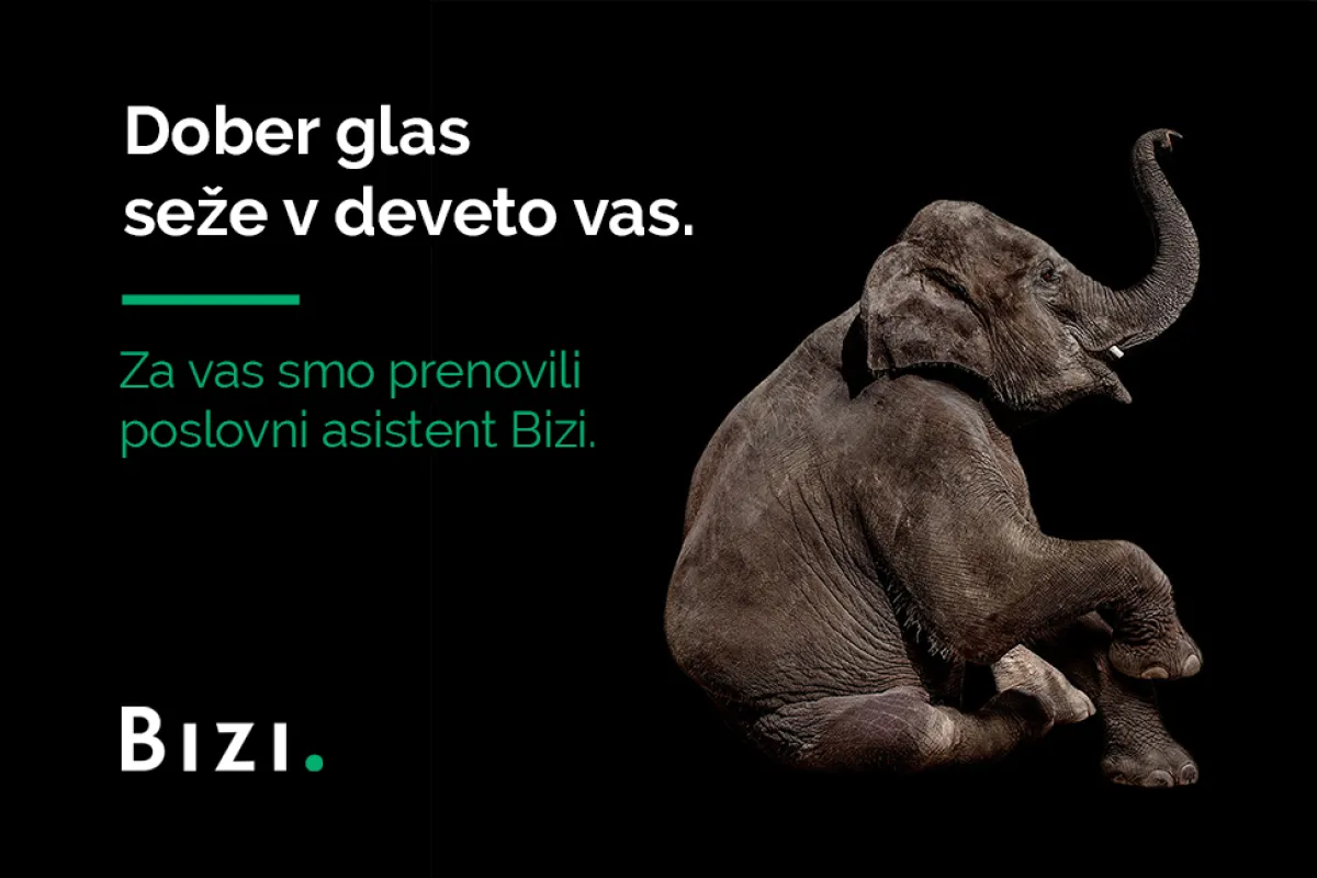bizi2