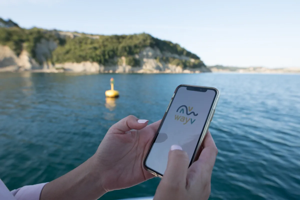 wayv 2