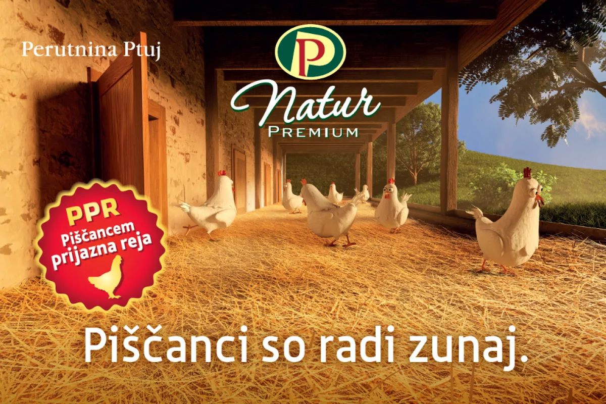 Piščanci so radi zunaj