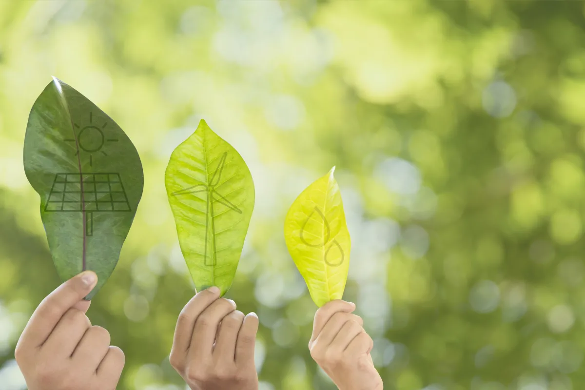 mediana rising future